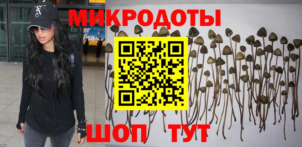 продажа наркотиков  Вход с VPN  Сочи  Галлюциногенные грибы мицелий 