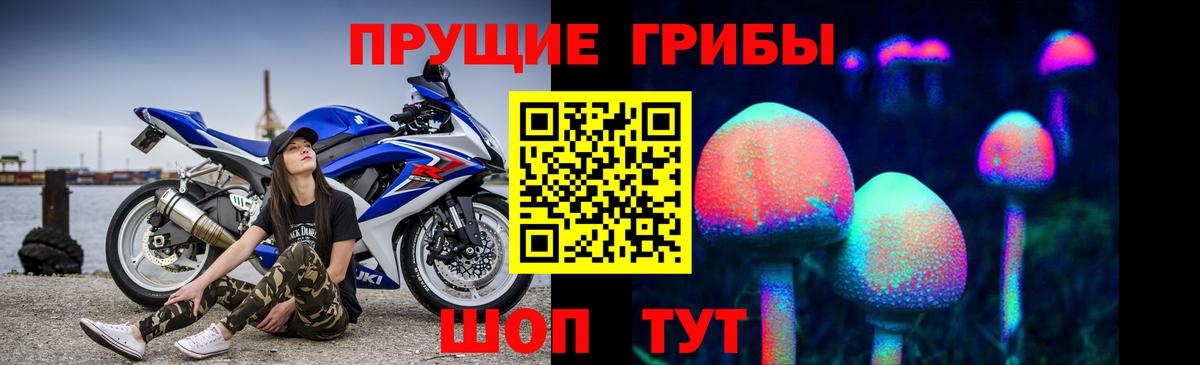 Галлюциногенные грибы Psilocybe Сочи